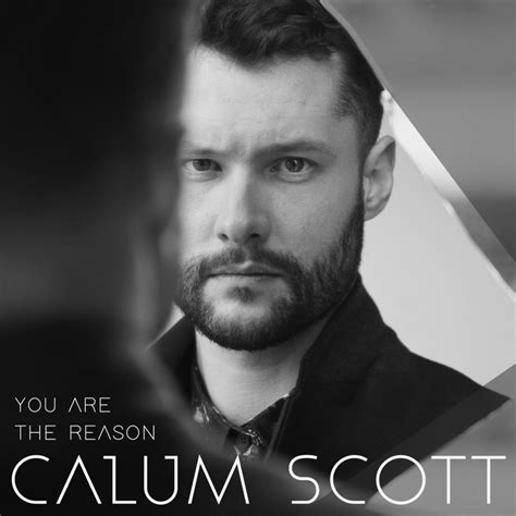 you are the reason calum scott